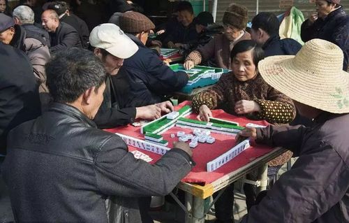 摘要：中国各地均有人热衷于打麻将，但在不同的地区，几乎每个人都有自己独特的方式来玩